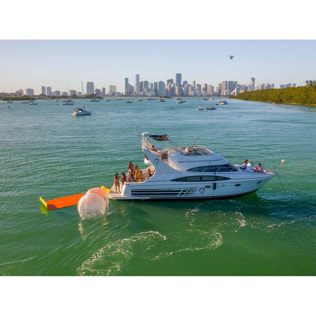 55ft Carver